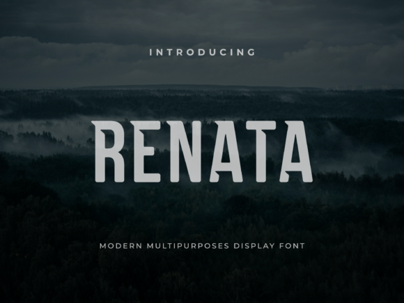 Renata: The Bold Display Font That Elevates Campaigns